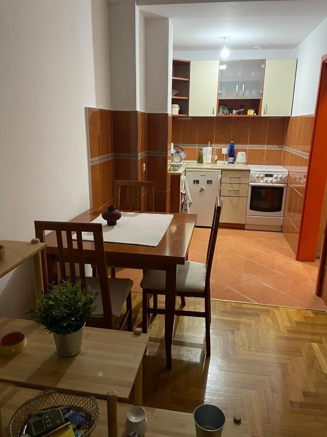 Apartman Sasa Podgorica Bagian luar foto